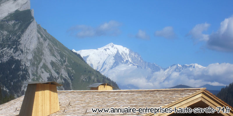 Le Mont Blanc depuis la Croix Fry